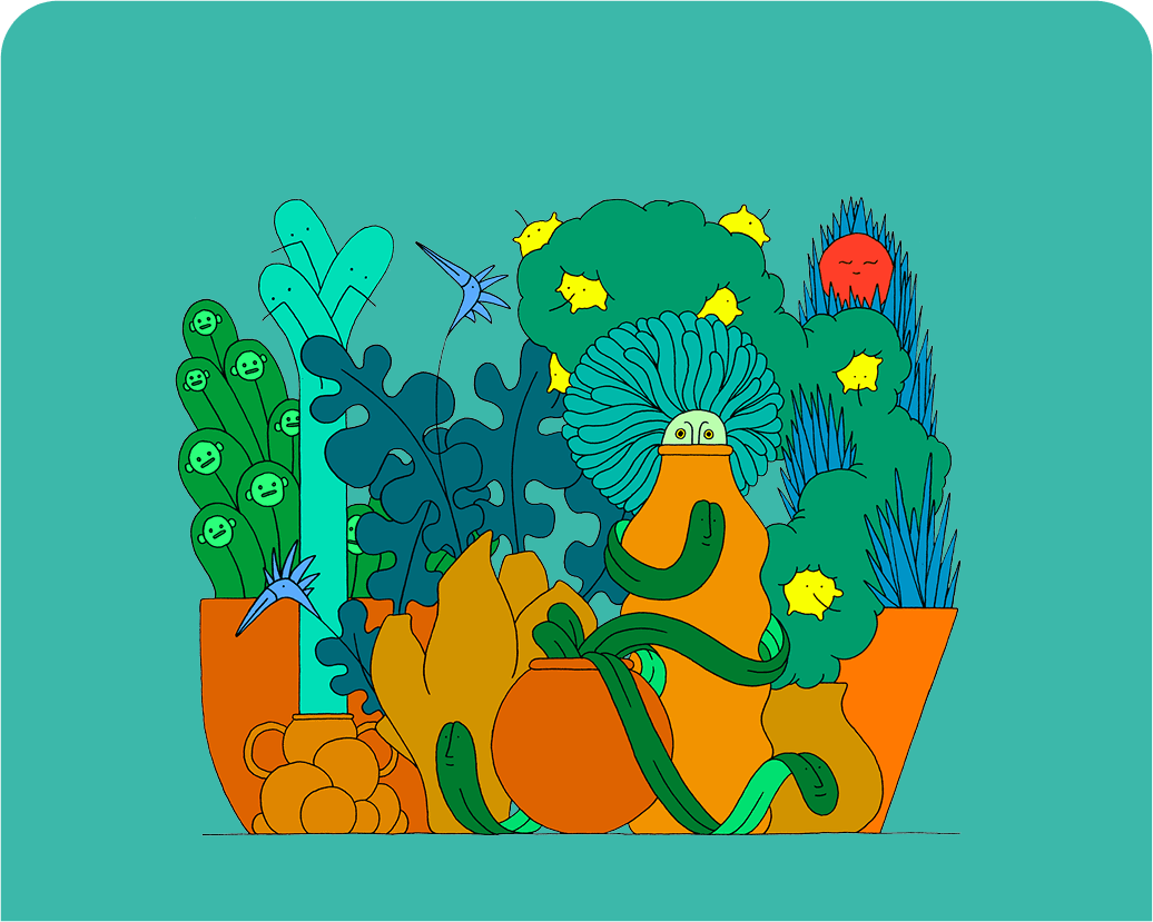 slider-image