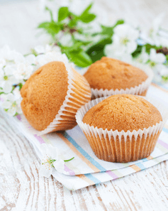 Vanilla Muffin